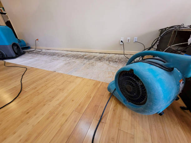 Professional Structural Drying technician working in Woodinville, WA